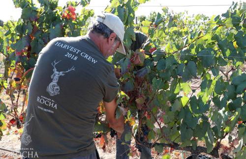 Herdade da Rocha - Boutique Lodge - Foto 76