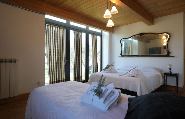 MADRE TERRA - Foto 7