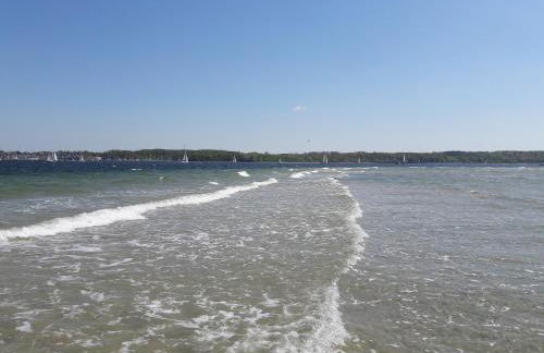 Öko Fewo Silbermöwe - Foto 21