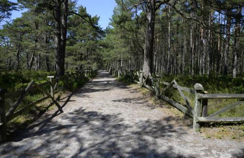 Dom wakacyjny w kratkę & spa - Foto 33