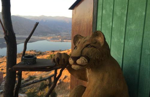 Epic View Hot tub National forest - Foto 13