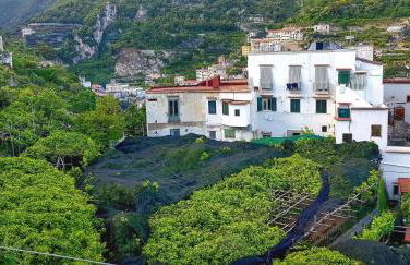 Il Limoneto degli Angeli - Foto 24