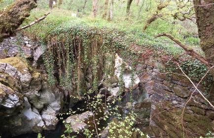 Merrion Cottage Penmachno Betws y Coed Conwy - Foto 17