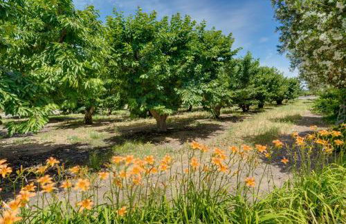 Charming Lodi Retreat Walk to Local Wineries - Foto 28