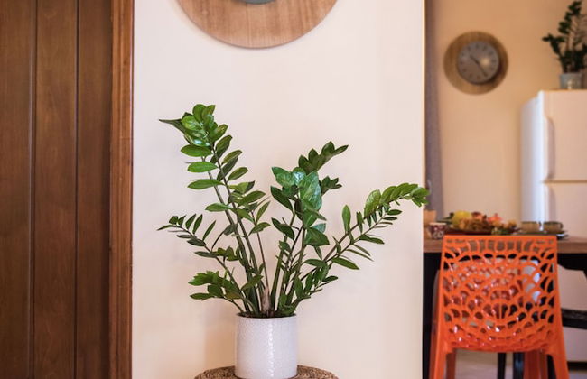 Marigianna's Luxury Loft by CorfuEscapes - Photo 14