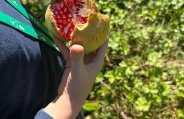 Casa Do Refugio Guest House - Foto 22