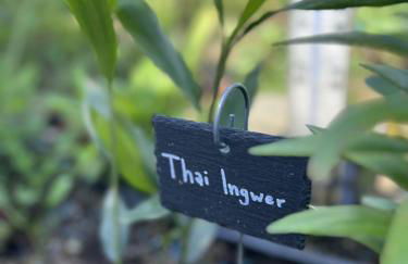 Luxus Studio 10 Min zur Porta Nigra inkl Parkplatz - Foto 54