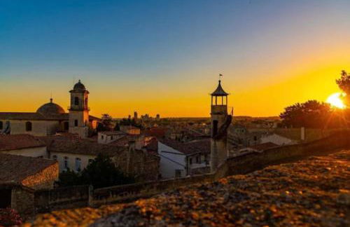 Les Oliviers - Foto 29