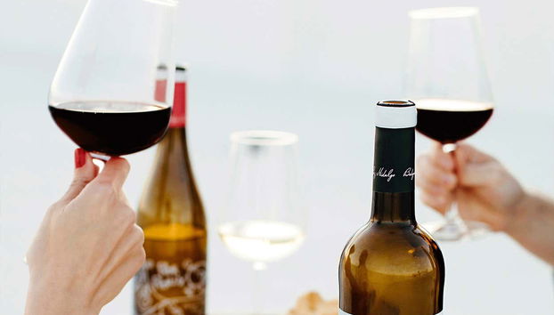 Realizzeremo una degustazione di vini