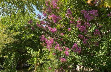 La chanvrière - Photo 5