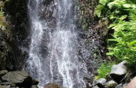 Ape Esquerdo - Foto 27