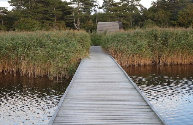 6 Person Holiday Home in Vig - Foto 40