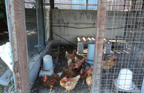 Agriturismo Corte dei Fiori - Foto 31