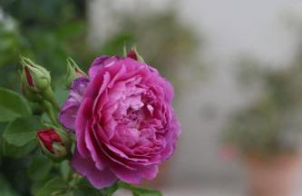 La Casa di Stefania LOFT - Foto 27