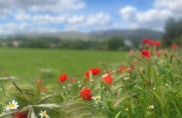 Villa Sanz - Foto 68