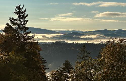 Wohnung Fuchsenstein-Foxy - Foto 26