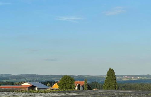 Hofgut Bergchalet Mirabell - Natururlaub am Bodensee - Foto 30