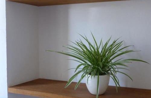 Irreler Mühle Ferienwohnungen und Ferienhäuser - Foto 33