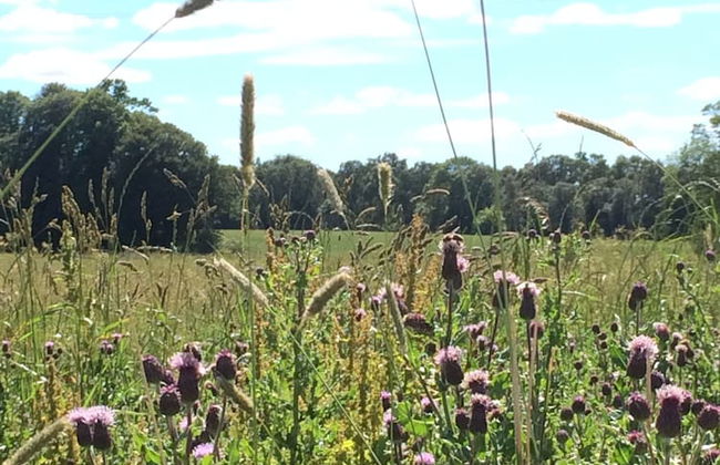 Netherton Farm Lodge - Foto 42