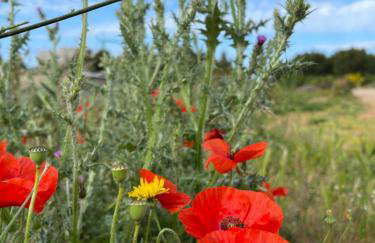 Primosten Sunhill Deluxe Apartment Lea - Foto 55