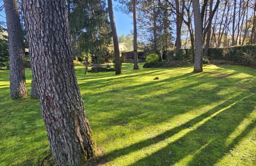 Apartamento Parque Gredos - Photo 17