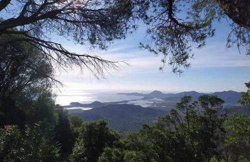 Casa vacanza Muravera "House Gardens" - Foto 28