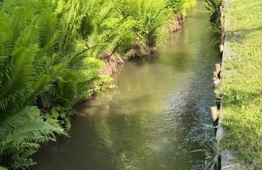 kleines Landhaus am Park - Foto 8