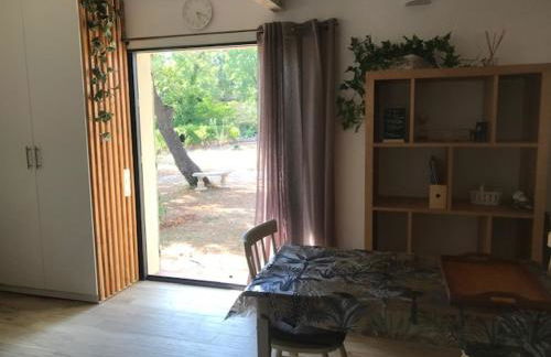 LA BRINDILLE Petit mas provencal meublé de tourisme 3 étoiles 2-3 personnes 1 piece 30 m2 tout confort lisière foret jardin Jacuzzi Piscine - Foto 13