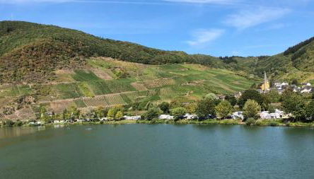 Am Weinberg - Foto 5