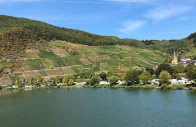 Am Weinberg - Foto 5