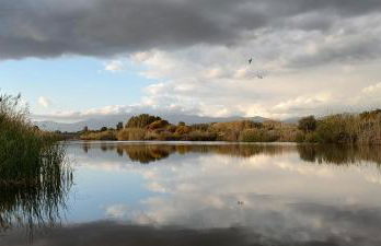 Villa Teresa - Foto 23