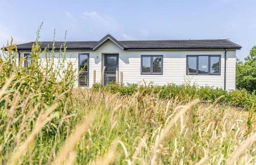 Rose Lodge, 21 Roadford Lake Lodges - Hot Tub, Free Parking and WiFi, Short Walk to Lake - Foto 6