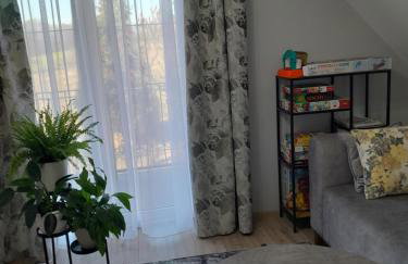 Domek pod Brzozami z jacuzzi ,grillem i tarasem - Foto 18