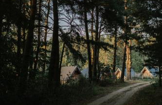 Sosnowe Domki - Photo 53