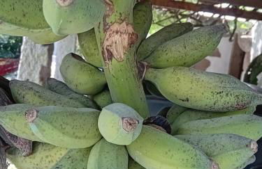 Quinta do Chão do Vale - Foto 20