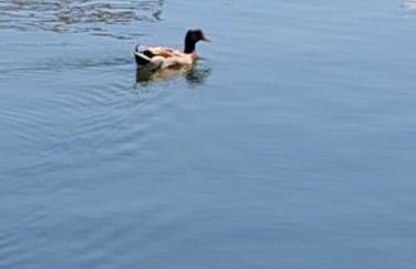 Al VICO TREDICI - Foto 49