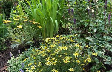 Stylish lake home with private beach, dock and firepit for swimming, kayaking, hiking - Foto 77