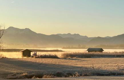 Ferienwohnung Anneliese - Foto 13