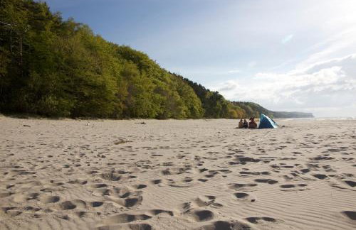 Studio Wisełka Leśna - Foto 16