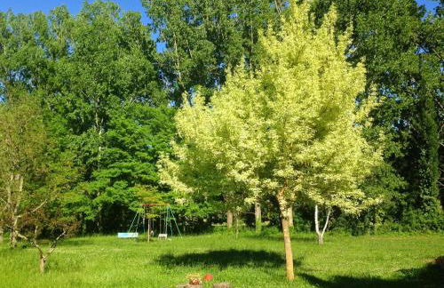 Domaine De La Provenç'âne - Foto 7