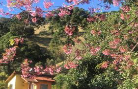 Chalés Lá na Roça - Photo 19