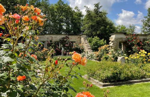 Design Ferienwohnung mit Bauerngarten - Foto 53