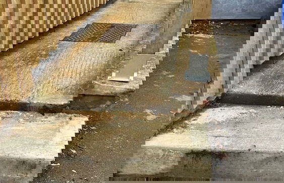 Cotswolds Large 4 Bed House Parking-Wifi - Foto 35