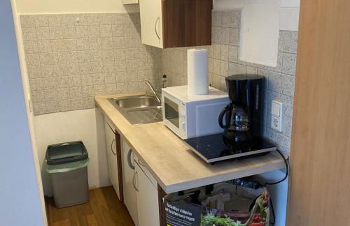 1 Zimmer Apartment DG - Foto 7