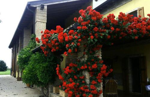 Ardenga Guest House - Photo 12