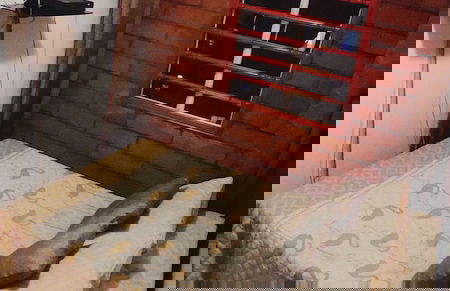 Hermoso Apartamento en Medellín - Photo 13