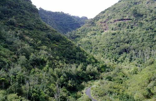 Casa San Juan - Foto 30