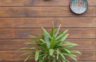 Casa Perto das melhores praias Florianópolis, 8 pessoas, ar condicionado, tv, wifi, cozinha completa, lavanderia, - Foto 74