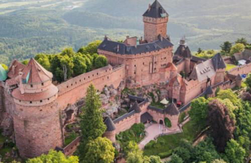 Cigogne et Bretzel - Foto 19