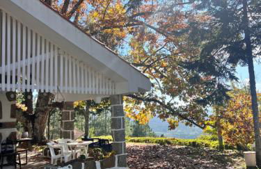 Quinta da Hortigueira - Country House - Foto 38